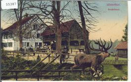 Winterthur - Bruderhaus - Litho