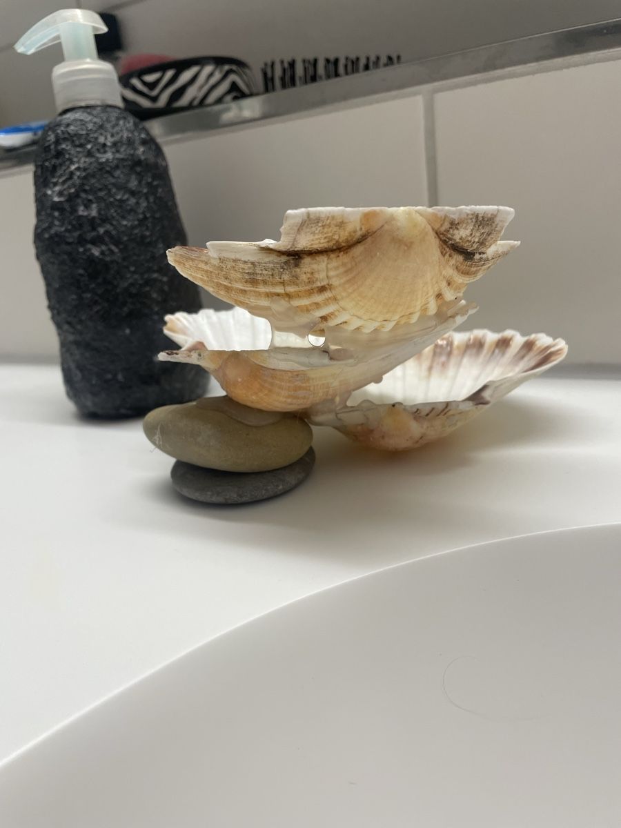 Tutte le decorazioni: Dekorative Muschelschale auf Steinen – Usato da Sins venduto da 77_gina_77 2