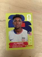 Panini USA 6