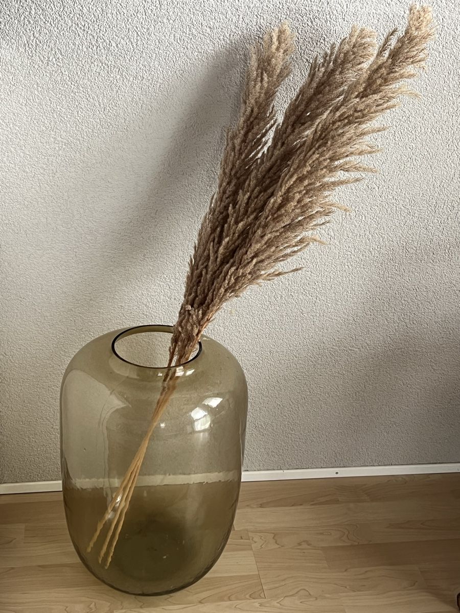 Vasi & Recipienti: Grosse Vase – Usato da Lyssach venduto da Litchi007