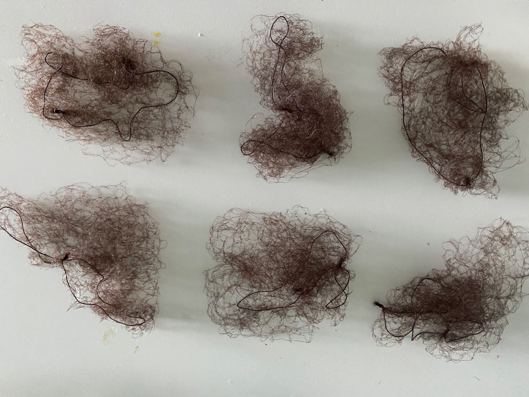 Accessori per capelli: Haarnetze – Nuovo (secondo la descrizione) da Altendorf venduto da am9j_nt