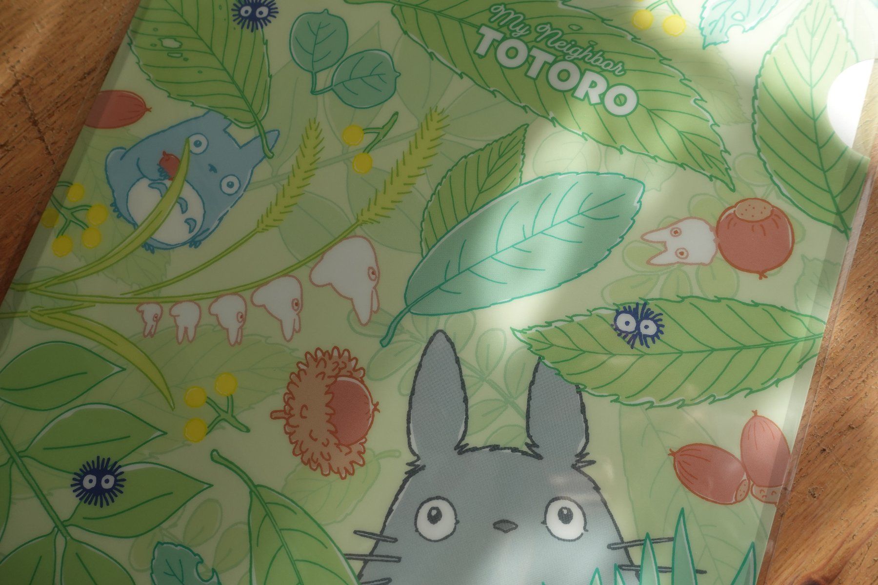 Valigie & Borse: Ghibli Totoro - Clear File Mäppli – Nuovo (secondo la descrizione) da Ettiswil venduto da maimaiswiss 2
