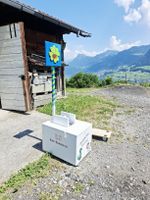 🤩Schaumkuss/ Überraschungsschleuder