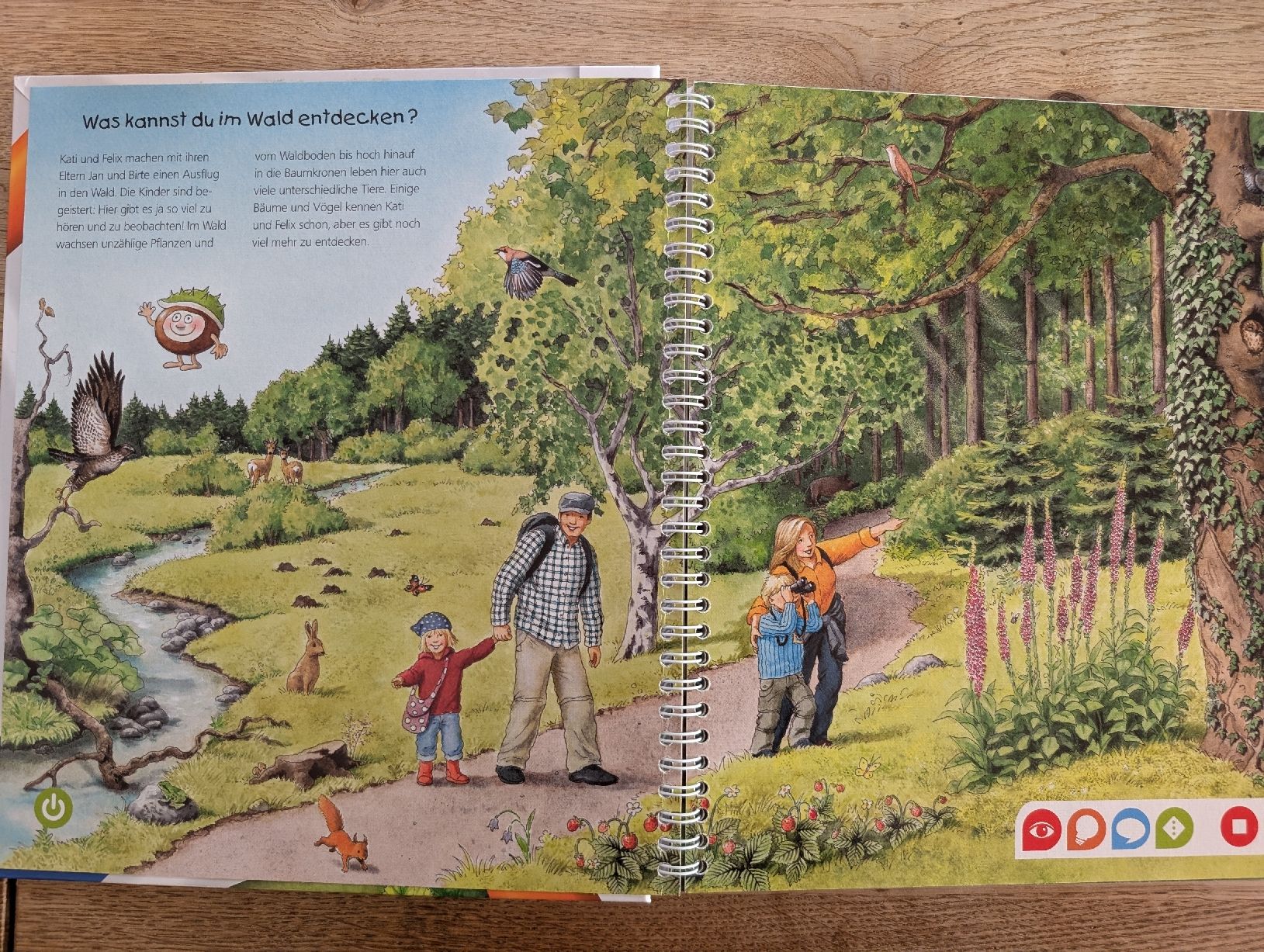 Libri: Tiptoi Wald, 4-7 Jahre – Nuovo (secondo la descrizione) da Winterthur venduto da voan 1