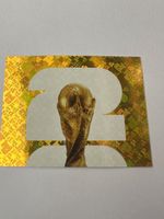 PANINI FWC 1
