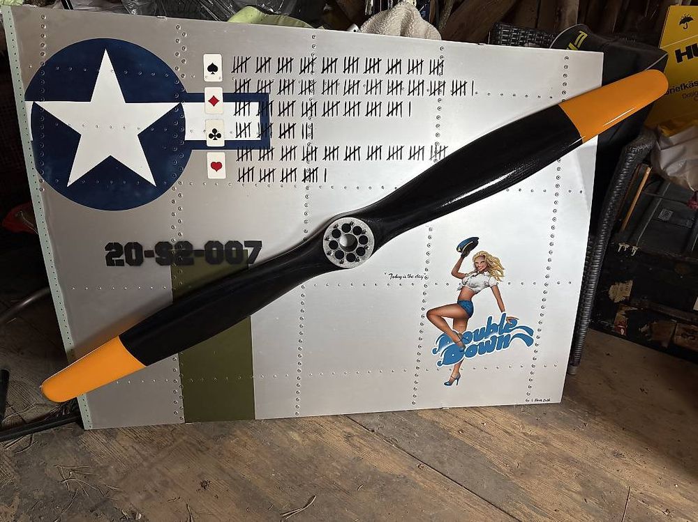 Déco murale aile d'avion (D'occasion) à Neyruz-sur-Moudon pour CHF 295 ...
