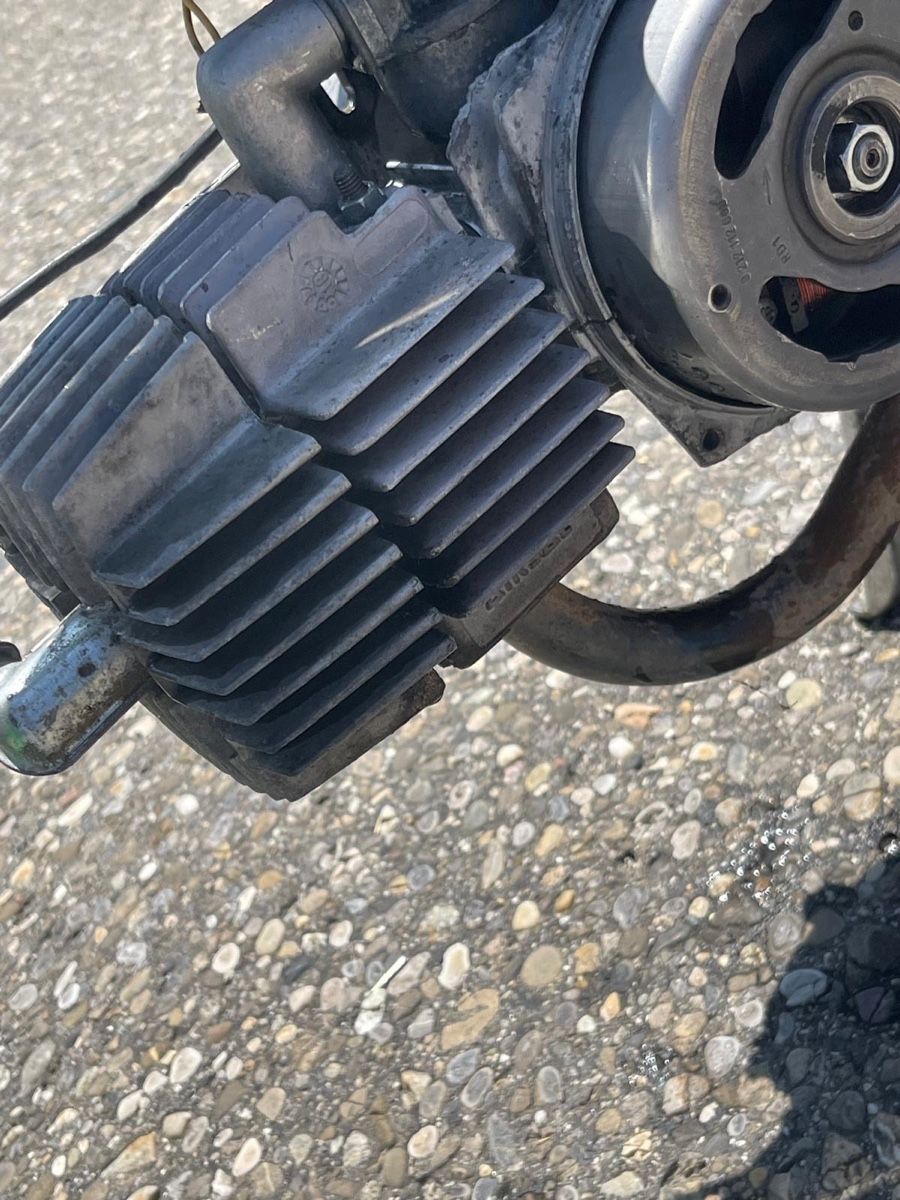 Puch Ciclomotori: Puch maxi s – Usato da Niederbipp venduto da nad_6xxy 6