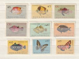 1951/1953 Mozambique / Portugal ☆☆ ★