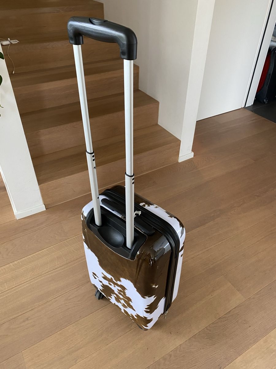 Valigie: Kleiner Rollkoffer – Usato da Niederrohrdorf venduto da StefMont 1
