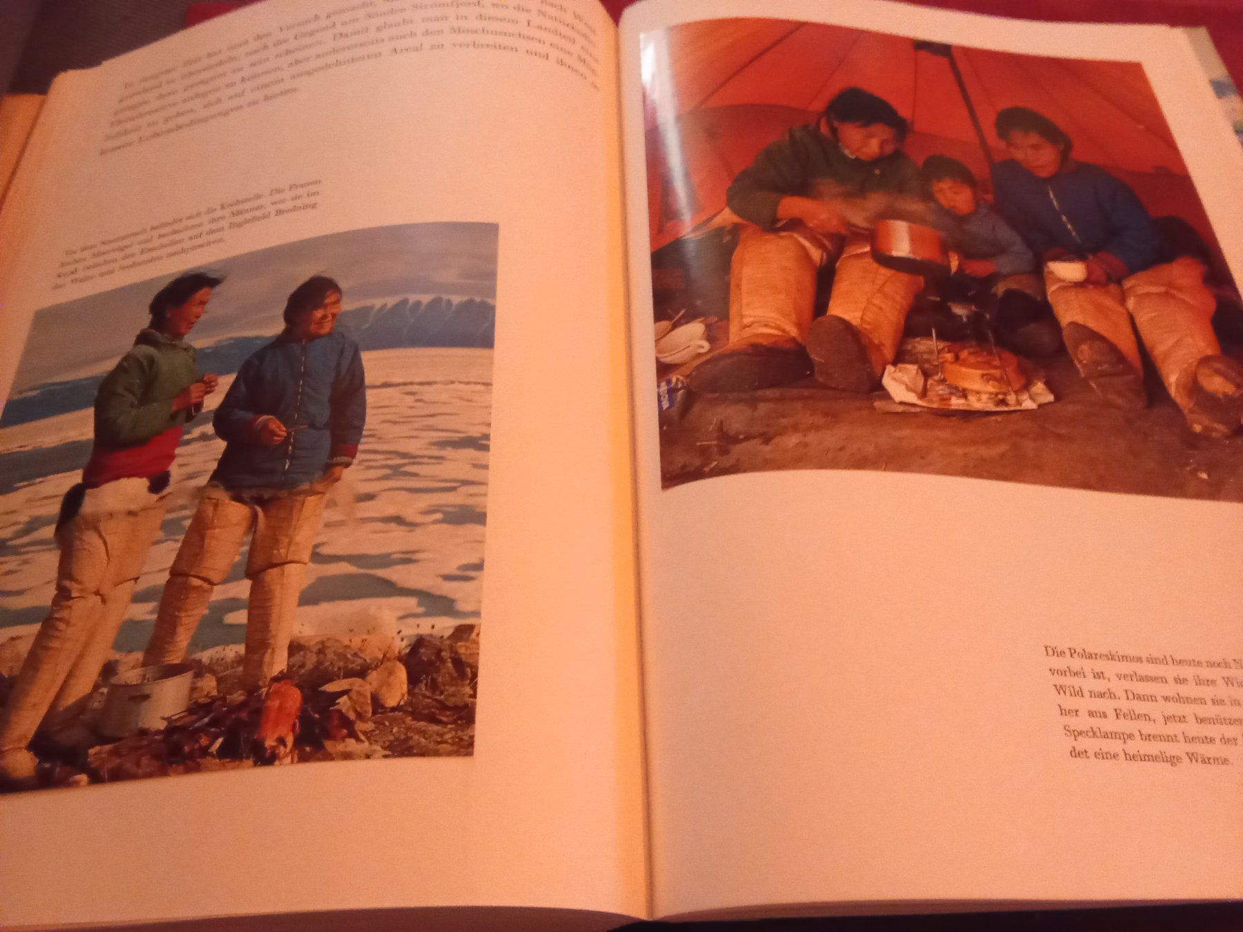 Bücher: Grönland (Silva Verlag 1967) – Gebraucht aus Remetschwil von Privatflohmi 8