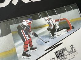 Tor OROKS, Unihockey, neuwertig mit Tasche