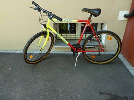 Kindervelo, Bahnhofvelo, Velo