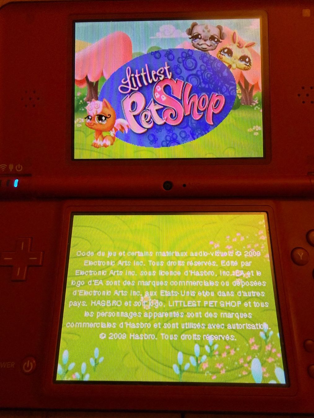 Nintendo Spiele: Littlest Pet Shop Nintendo DS – Gebraucht aus Bellevue von LarsUlrich01 3