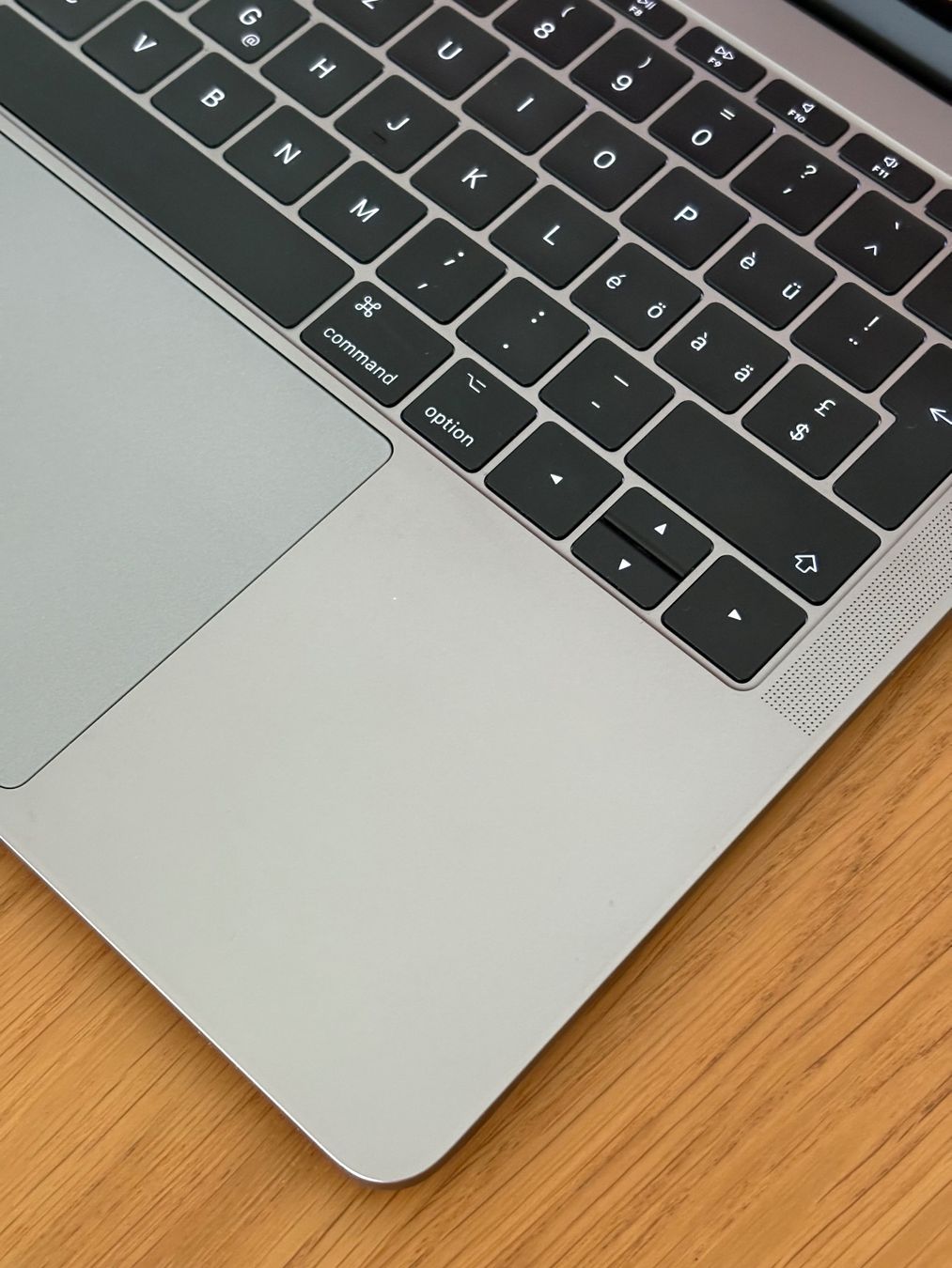 Apple Notebook: Apple MacBook Pro 13" 2016 - i5 16/256 – Usato da Zürich venduto da Popp3000 1