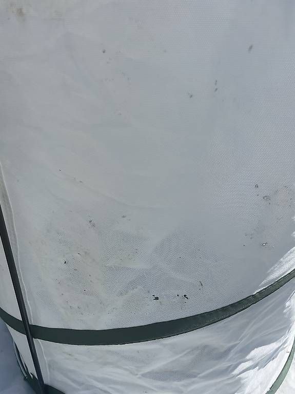 Altro: Toile de protection plantes  – Usato da Treyvaux venduto da Jujud 1