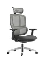 Sinoswiss 3D SUNON Bürostuhl, schwarz/grau
