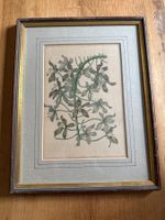 Handkolorierte Lithographie von Sir Paxton