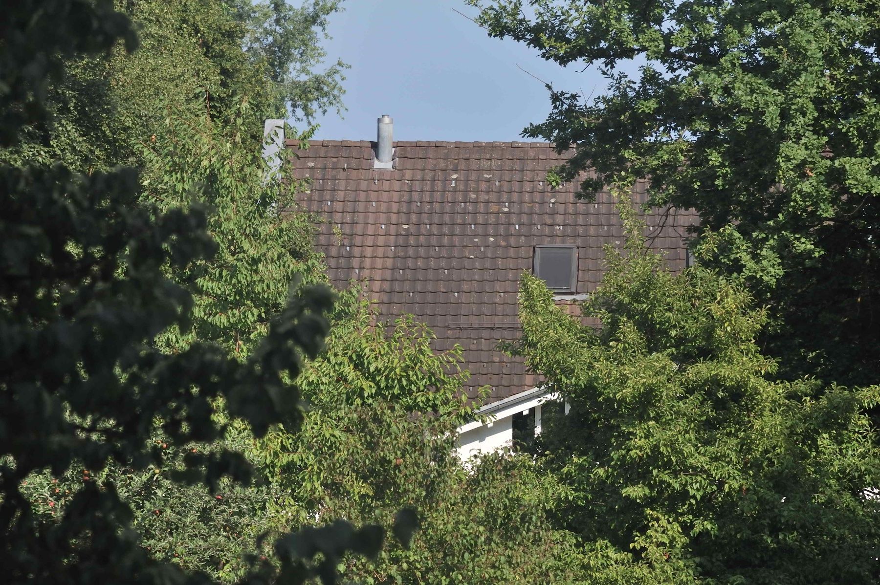 Nikkor Obiettivi: Nikkor AF 70-210 f4.0 - 5.6 – Usato da Schwerzenbach venduto da floridan 8