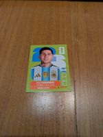 Panini ARG8