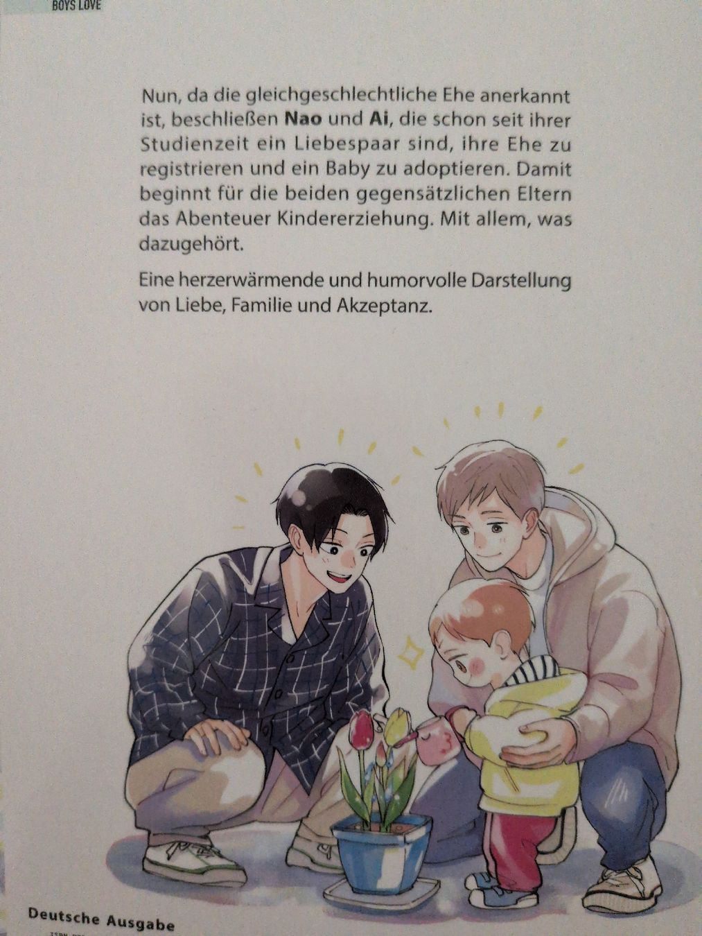 Comics: Manga: Boys Love starter Packet – Neu (gemäss Beschreibung) aus Wädenswil von Sumire22 2
