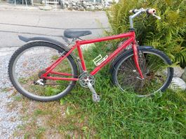 Fahrrad für Damen oder größere Kinder.