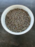 50g getrockneter Lavendel – Von Hand geerntet