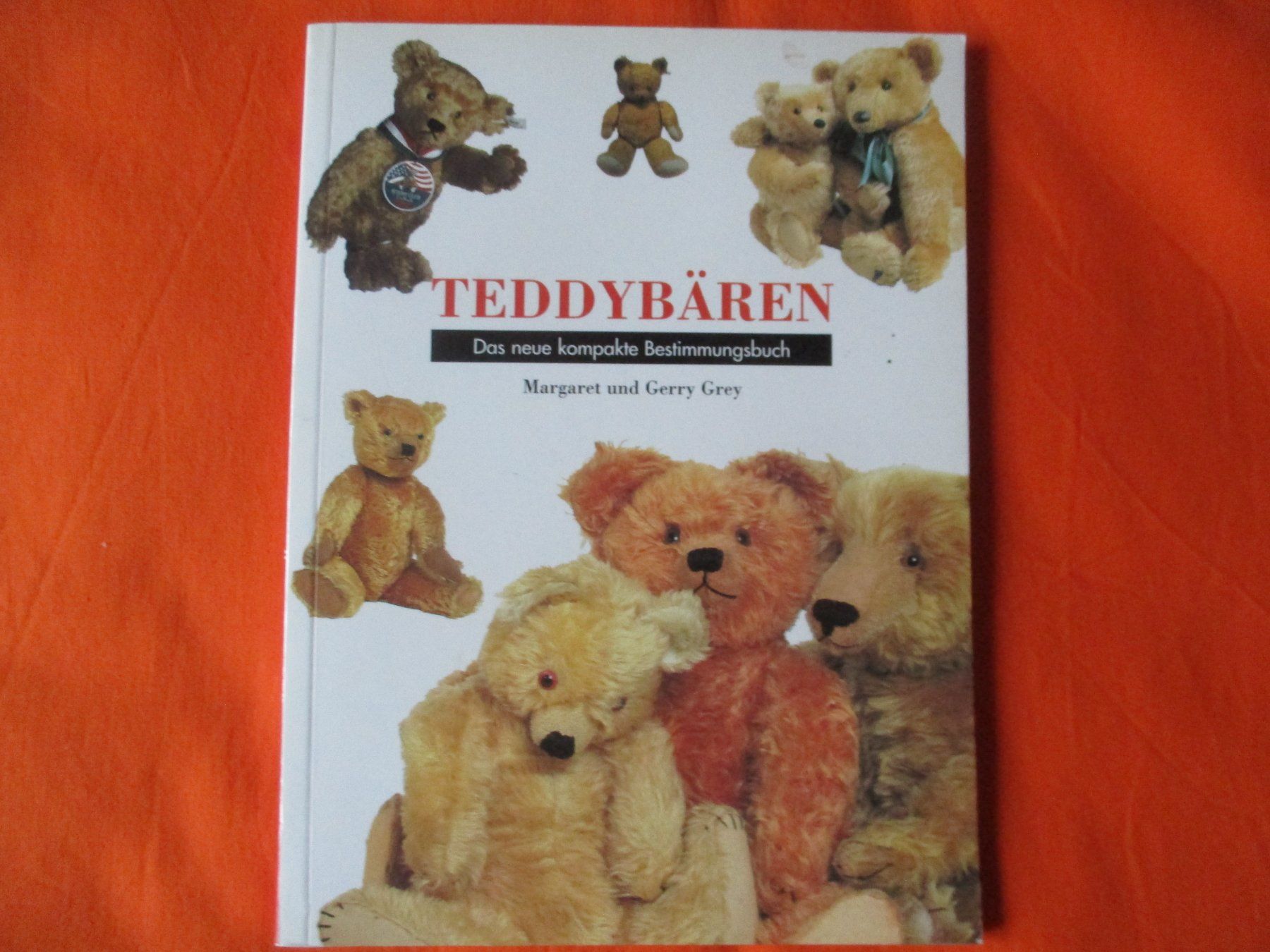 Libri: Buch  Teddybären bestimmen – Usato da Birsfelden venduto da alles-muss-raus