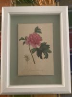 Zwei Bilder Bisgarten mit weiss ramen 37.5cm x 47.5cm
