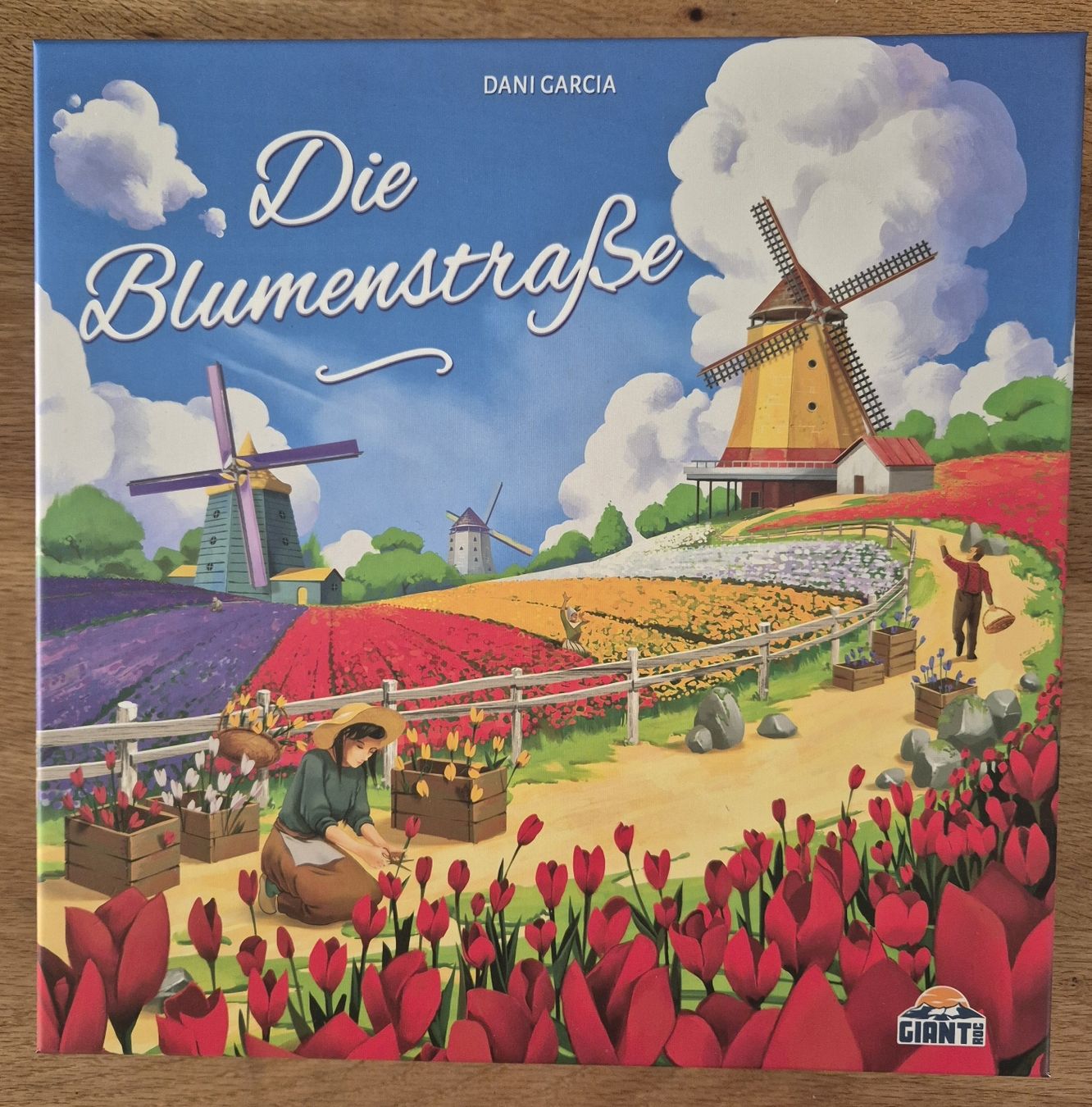 Giochi: Blumenstraße / Blumenstrasse Brettspiel – Nuovo (secondo la descrizione) da Altstätten SG venduto da bluedine