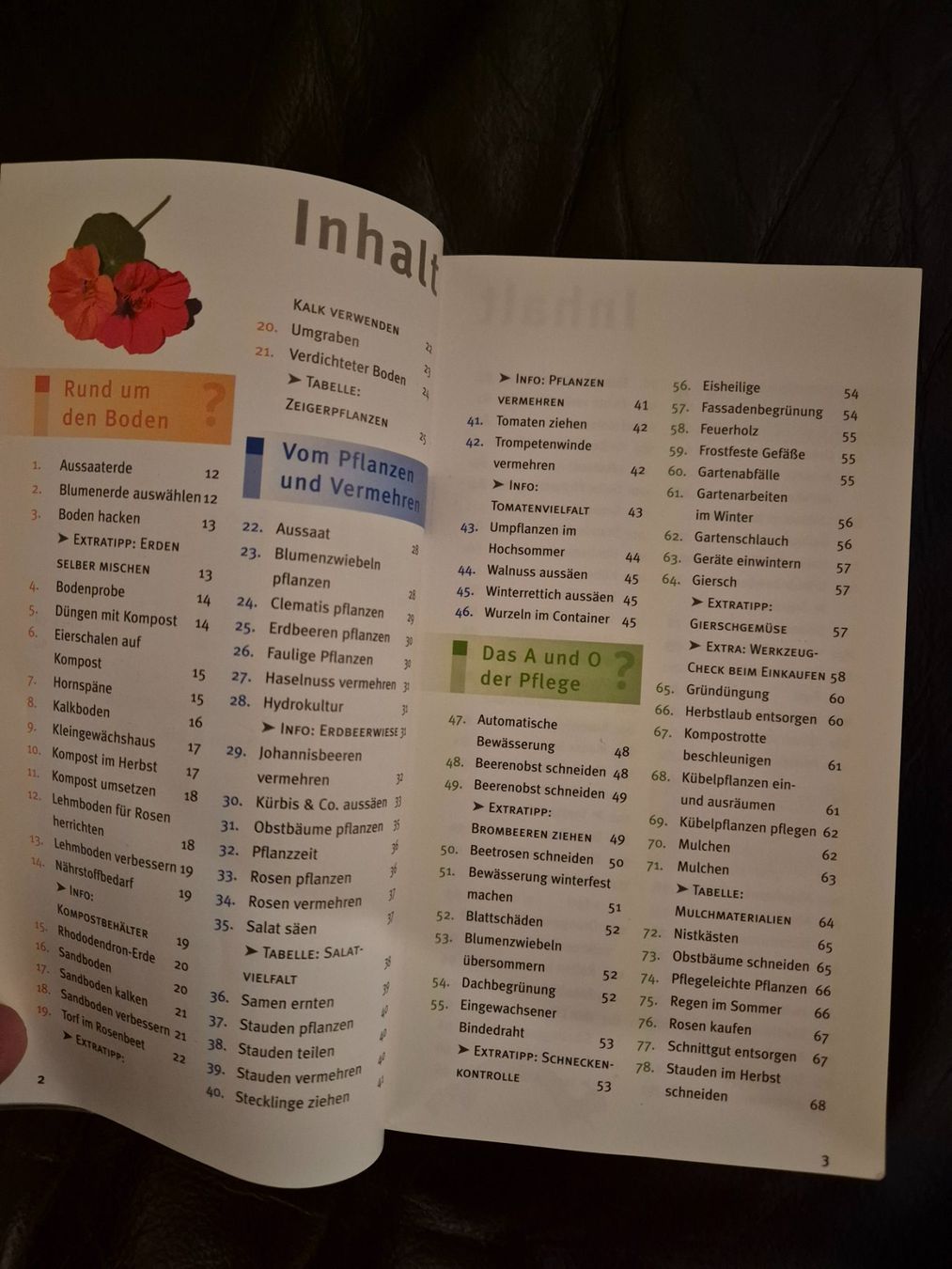 Libri: Taschenbuch 300 Fragen Gartenpraxis – Usato da Bischofszell venduto da Shela 2