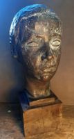 Bronze Büste Skulptur Apollonio Pessina