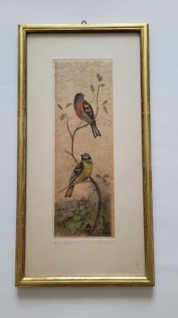 Orig. Radierung  Vögel auf Japanpapier, über eckvergoldet