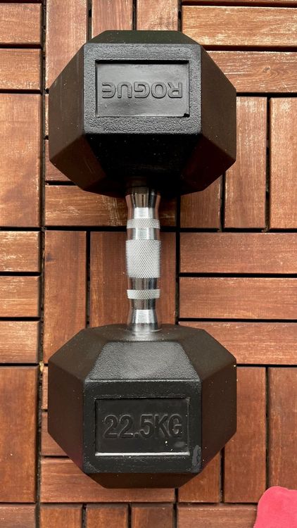 Dumbbell 22.5 kg outlet rogue