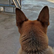 Profile image of Panagiotis21