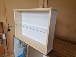 Hängevitrine für Sammler aller Arten