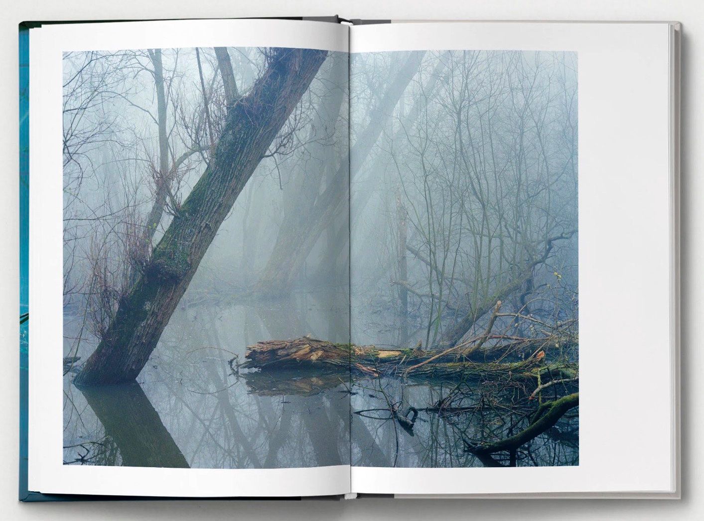 Bücher: HOXTON MINI PRESS - COLL. EDITION: ALONG THE HACKNEY CANAL – Neu und originalverpackt aus St. Gallen von kobayashi-maru 8