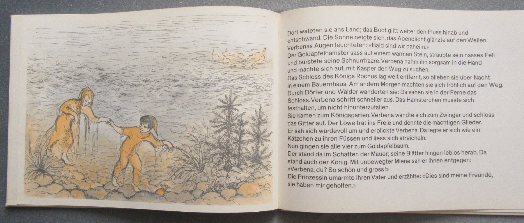 Libri: Der Goldapfelhamster - Ein Märchen von Therese Keller – Usato da Auenstein venduto da Padabimbim 7