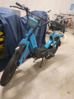 Piaggio Ciao Mofa, Top Zustand
