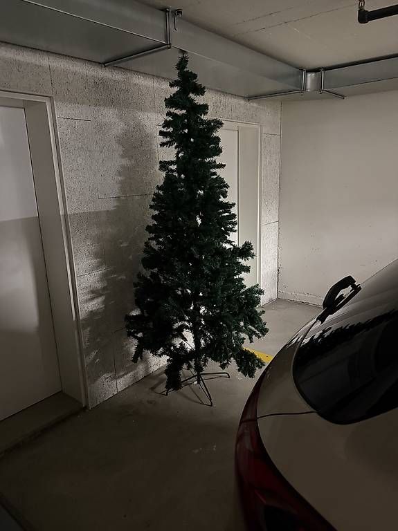 Tutte le decorazioni: Weihnachtsbaum 210cm hoch – Usato da Kollbrunn venduto da datu80