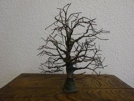 Baum Skulptur / Bildhauer Peter KUNZ