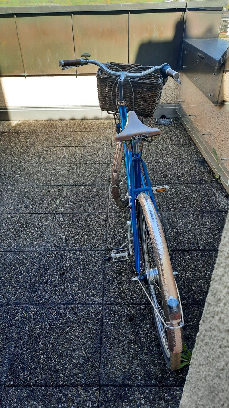 Biciclette: Modernes Damenvelo im Retro-Look – Usato da Buochs venduto da Medsir.3 2