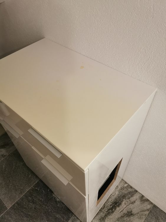 UPSKY Geschlossene Katzenklo Aus Edelstahl – Extra Groß, Mit Deckel, 30 L Fassungsvermögen, Inkl. Schaufel