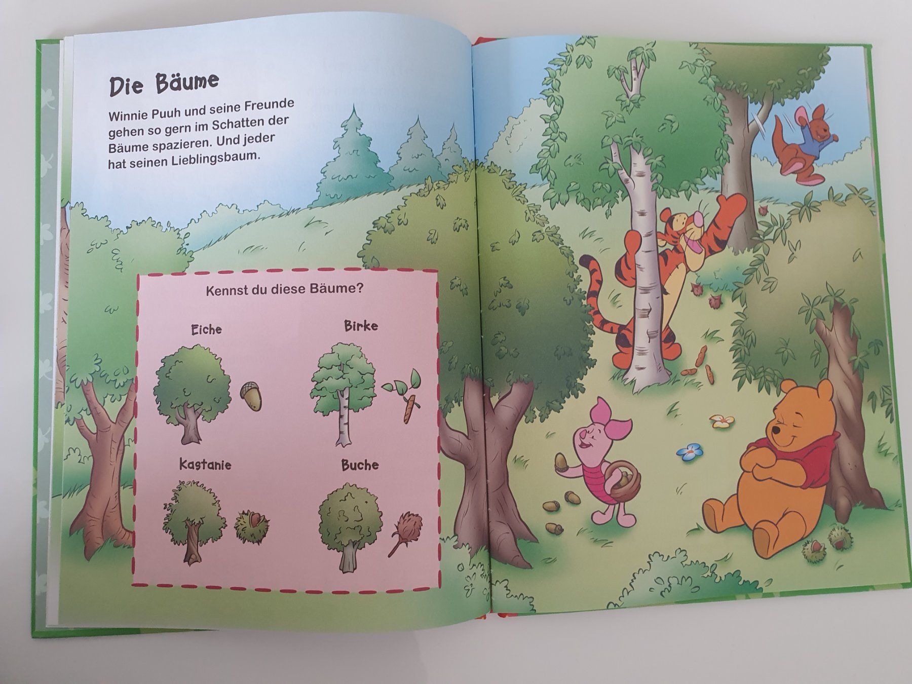 Bücher: Winnie Puuh - Entdecke den Wald / Disney – Gebraucht aus Oberdorf BL von BaldenEagle 2