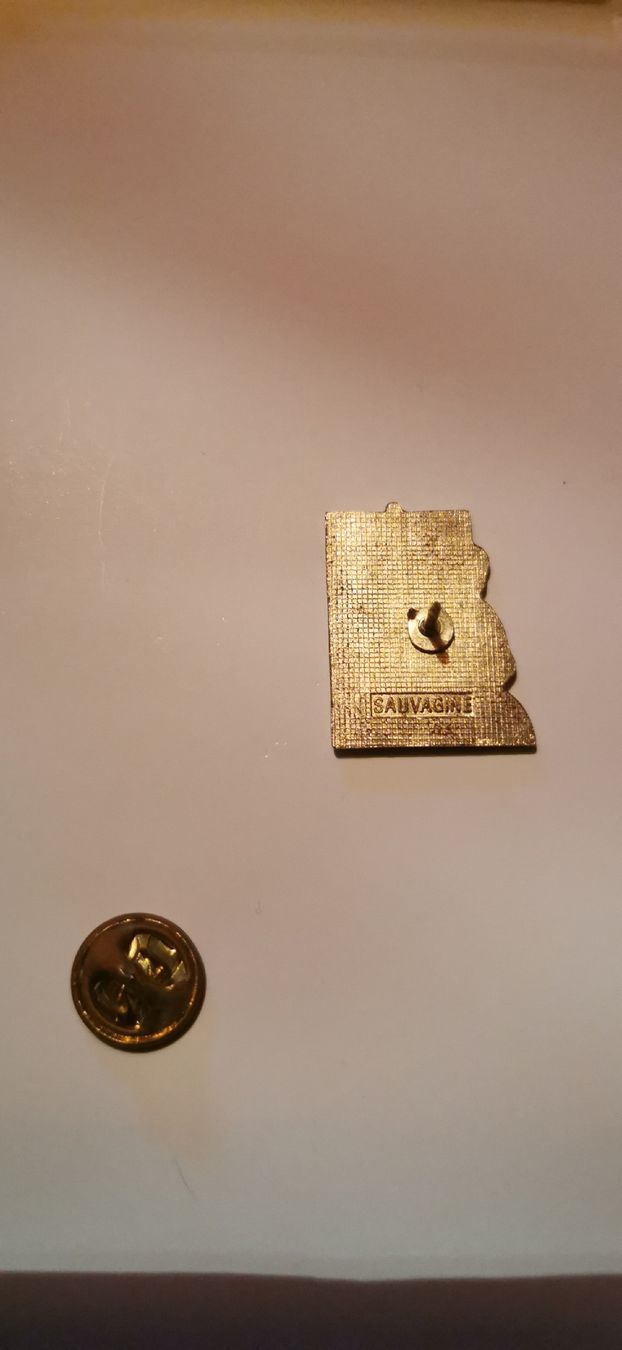 Plaketten & Abzeichen: Pin Mikado  – Gebraucht aus Genève von vins50 1