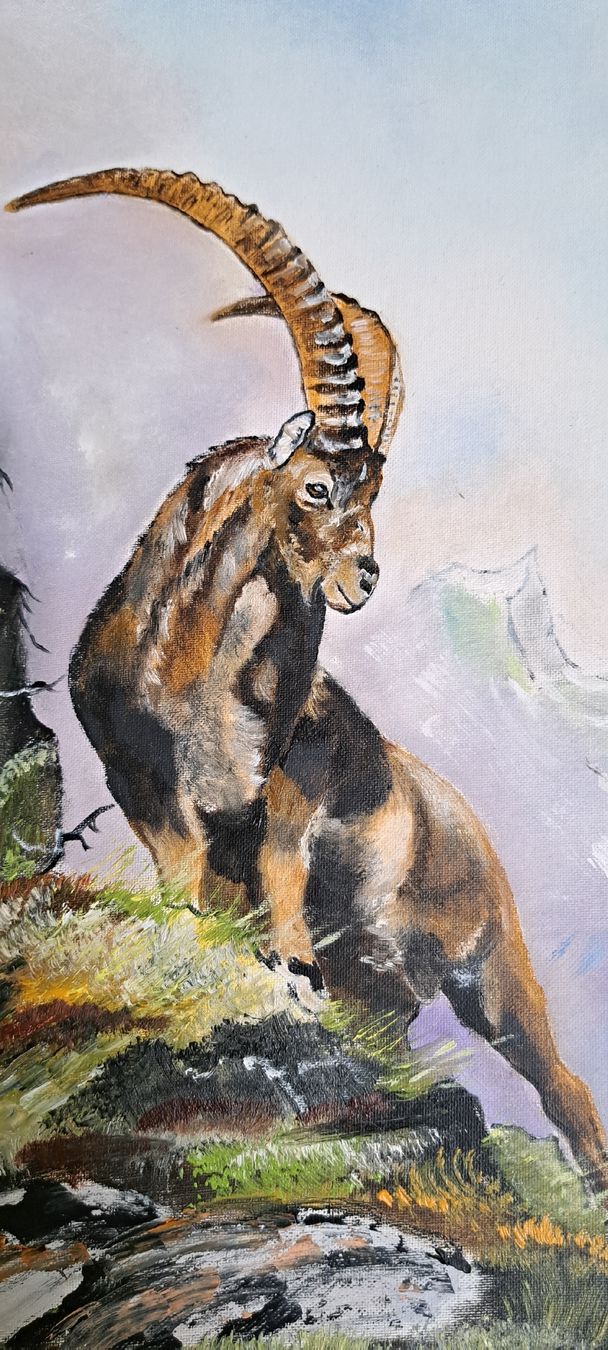 Dipinti: Gemälde Tiermotiv von Josefine Studer – Nuovo (secondo la descrizione) da Spiringen venduto da adam70 1