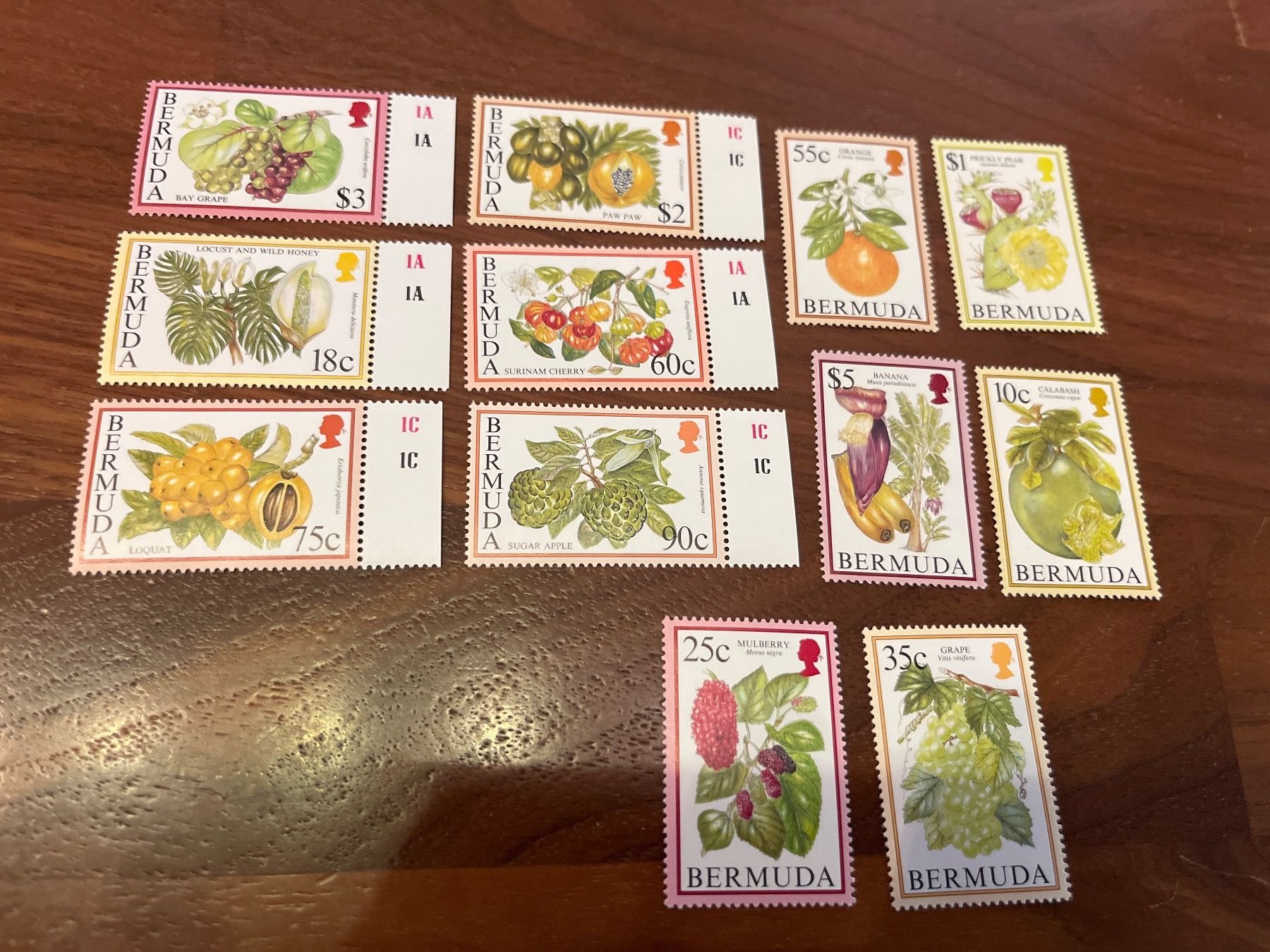 Alle Briefmarken: Briefmarken Lot Bermuda Früchte – Neu und originalverpackt aus Zürich von engebrunau