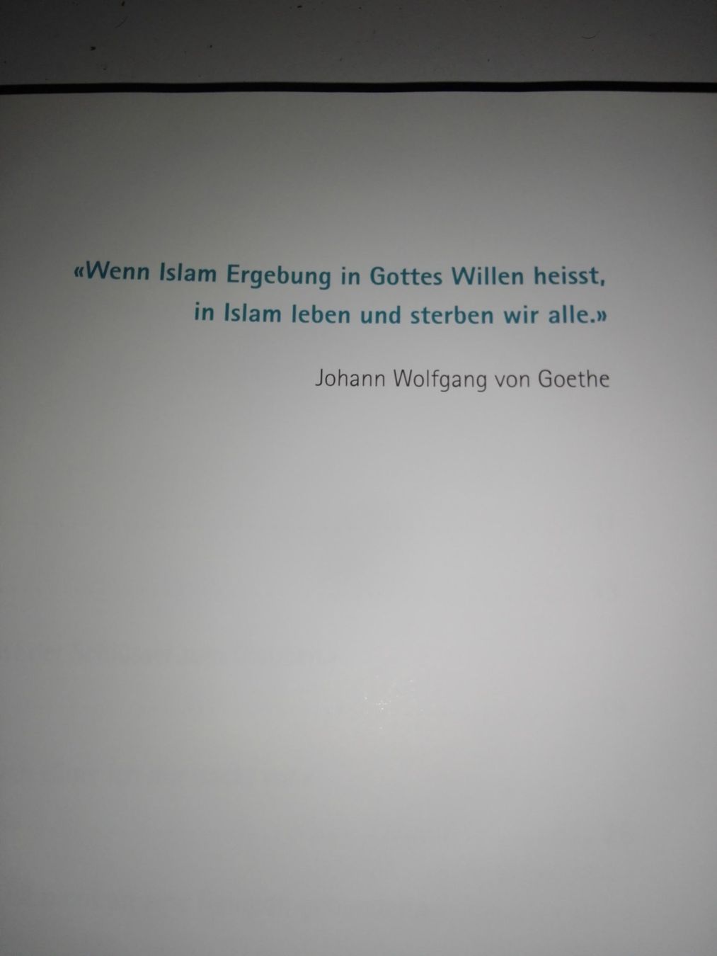 Bücher: Allahs Kinder sprechen Schweizerdeutsch  (Philipp Dreyer) – Gebraucht aus St.Gallen von elk2023 3
