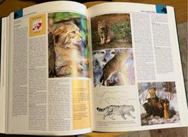 Encyclopédie (20 livres) Nature - Bordas (EXCELLENT ETAT)