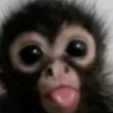 Profile image of saybye