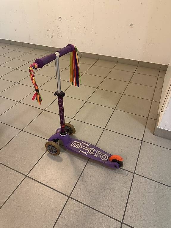 Kickboard: Micro Mini – Usato da Fribourg venduto da ser_jp7r 1